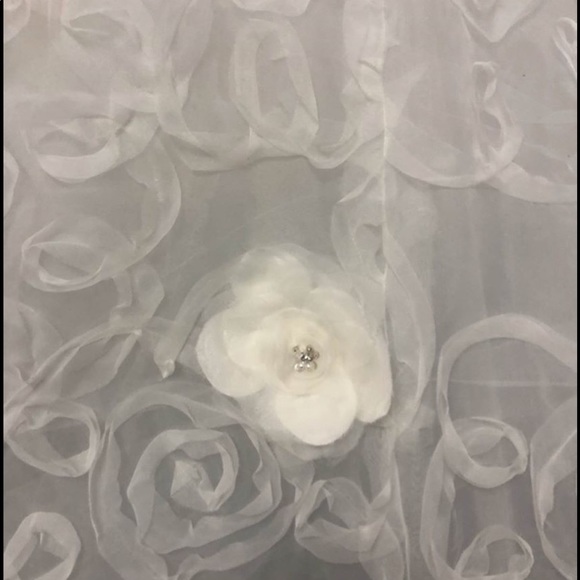 New, Never Worn Ivory Wedding Dress - Picture 4 of 11